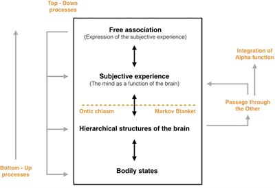 Entropy, Free Energy, and Symbolization: Free Association at the Intersection of Psychoanalysis and Neuroscience